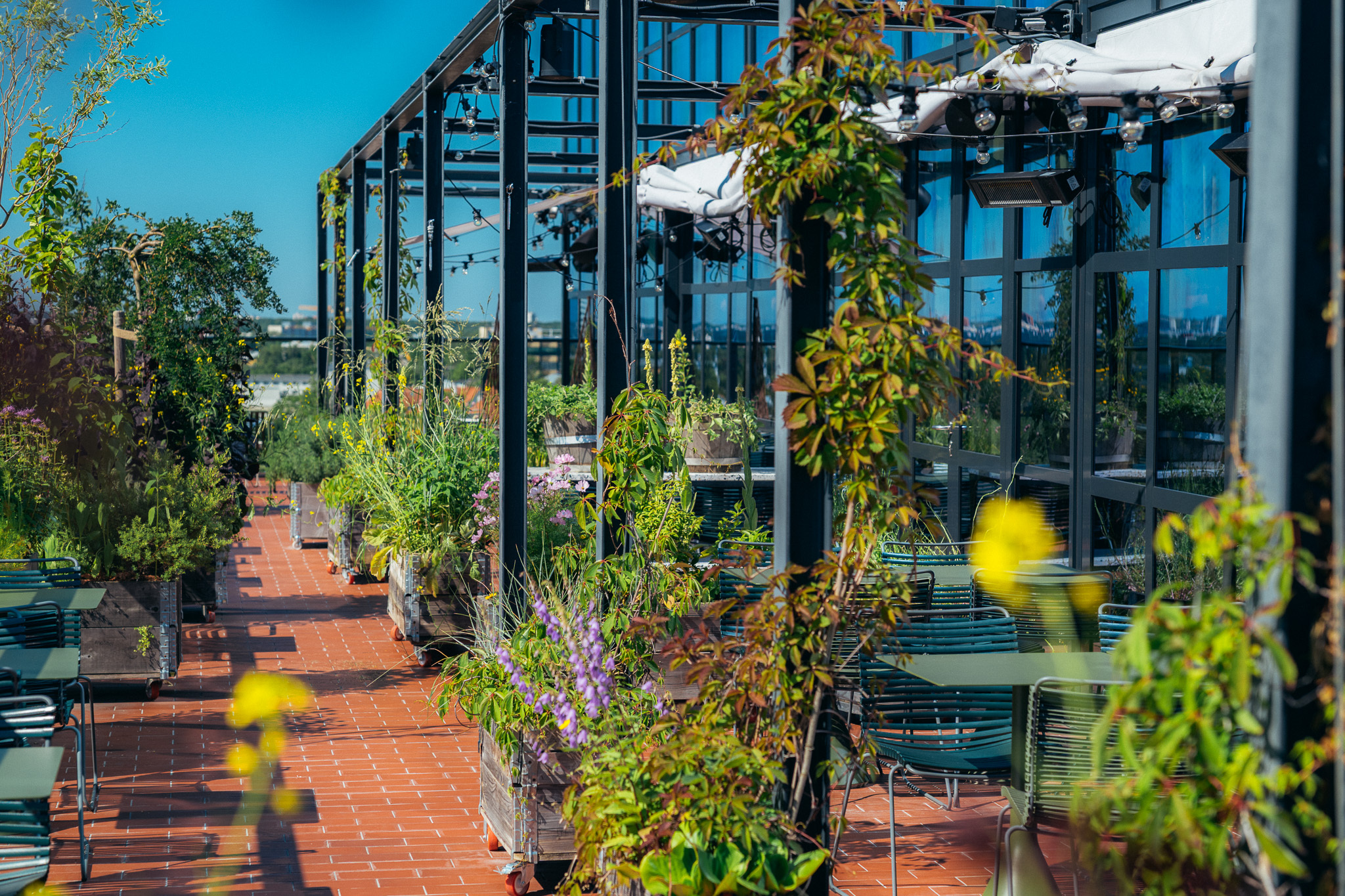 Best Terraces in Tallinn: Top Rooftops & Outdoor Dining Spots